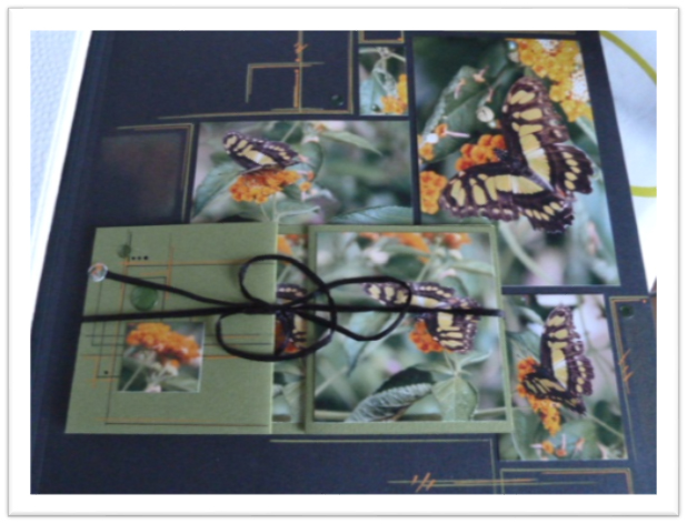 Createndances scap3