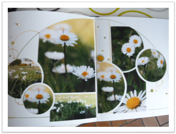 Createndances scap4